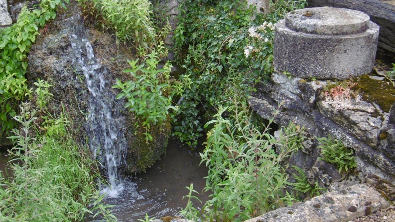 Gite Ancien Lavoir Viserny Εξωτερικό φωτογραφία